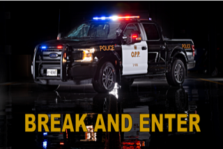 Ford pickup truck with police markings.