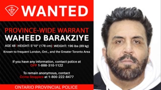 Man with dark hair and beard