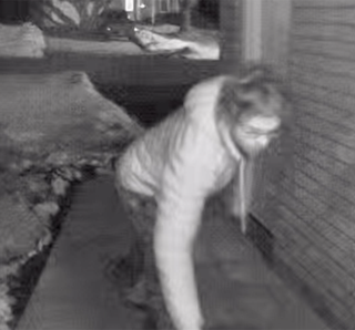 Blurry image of a dog running