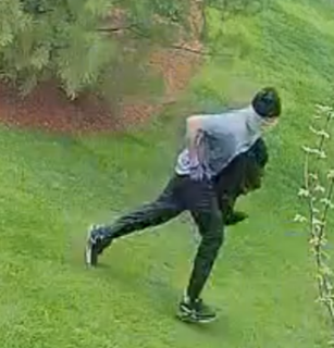 Person running on grass