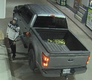 Man filling a gray pickup truck with gasoline.