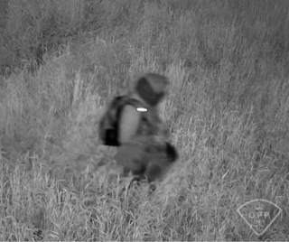 Person walking through tall grass, visible heat signature