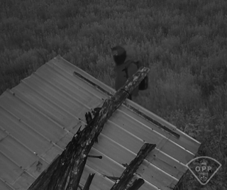 Damaged corrugated metal roof with broken tree branches.