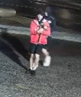 Person in pink jacket and black shorts