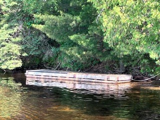 Wooden dock extending over water, green foliage in background