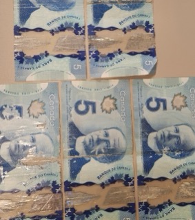 Five Canadian dollar bills